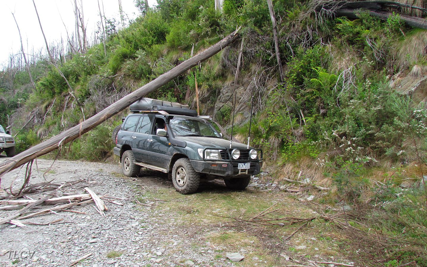 13-Michael squeezes under a fallen tree on .JPG